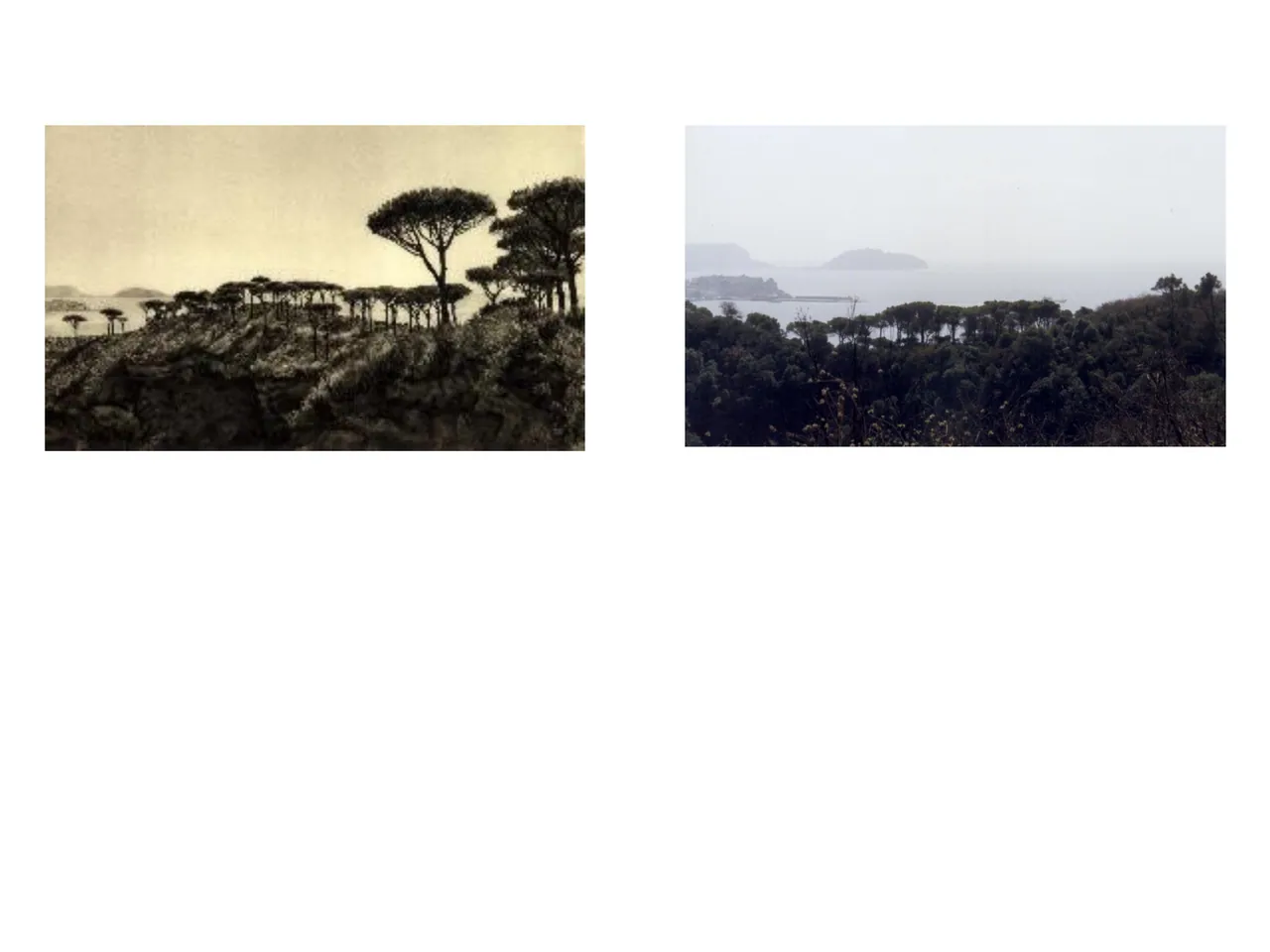 Dans le sillage d'Ulysse — Fred Boissonnas, 1913  │  Dominique Roux & Daniela Kleeberg, 2000
