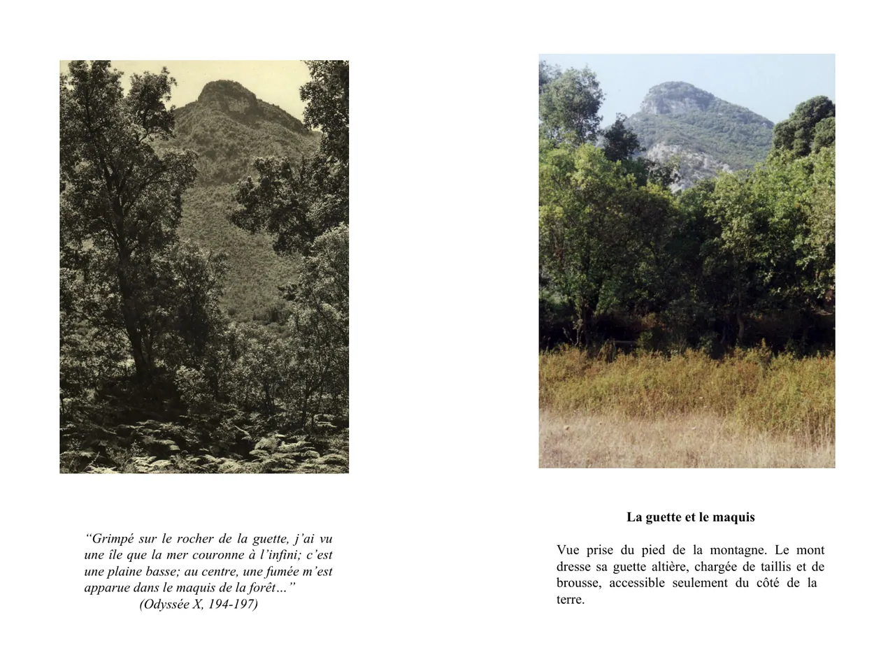 Dans le sillage d'Ulysse — Fred Boissonnas, 1913  │  Dominique Roux & Daniela Kleeberg, 2000