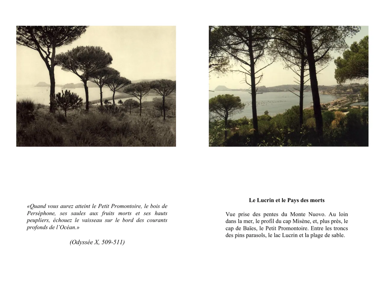 Dans le sillage d'Ulysse — Fred Boissonnas, 1913  │  Dominique Roux & Daniela Kleeberg, 2000