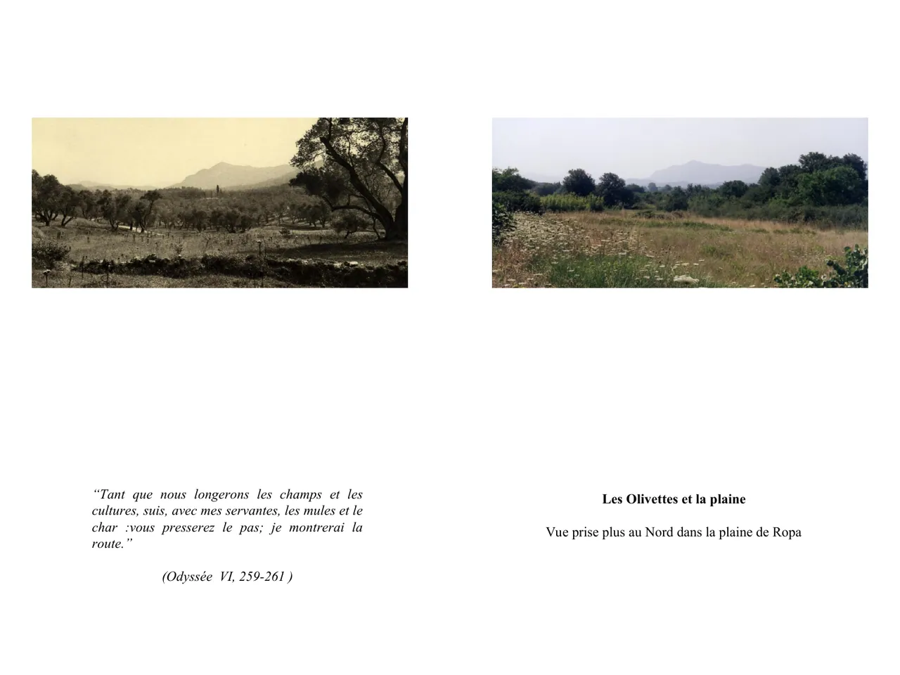 Dans le sillage d'Ulysse — Fred Boissonnas, 1913  │  Dominique Roux & Daniela Kleeberg, 2000