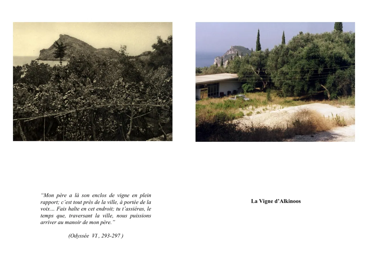 Dans le sillage d'Ulysse — Fred Boissonnas, 1913  │  Dominique Roux & Daniela Kleeberg, 2000