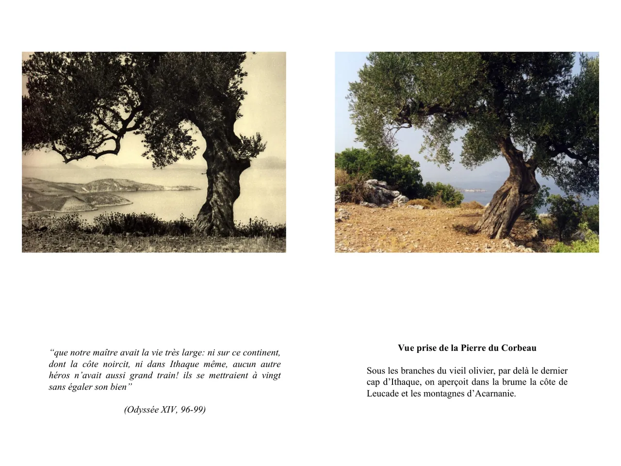 Dans le sillage d'Ulysse — Fred Boissonnas, 1913  │  Dominique Roux & Daniela Kleeberg, 2000