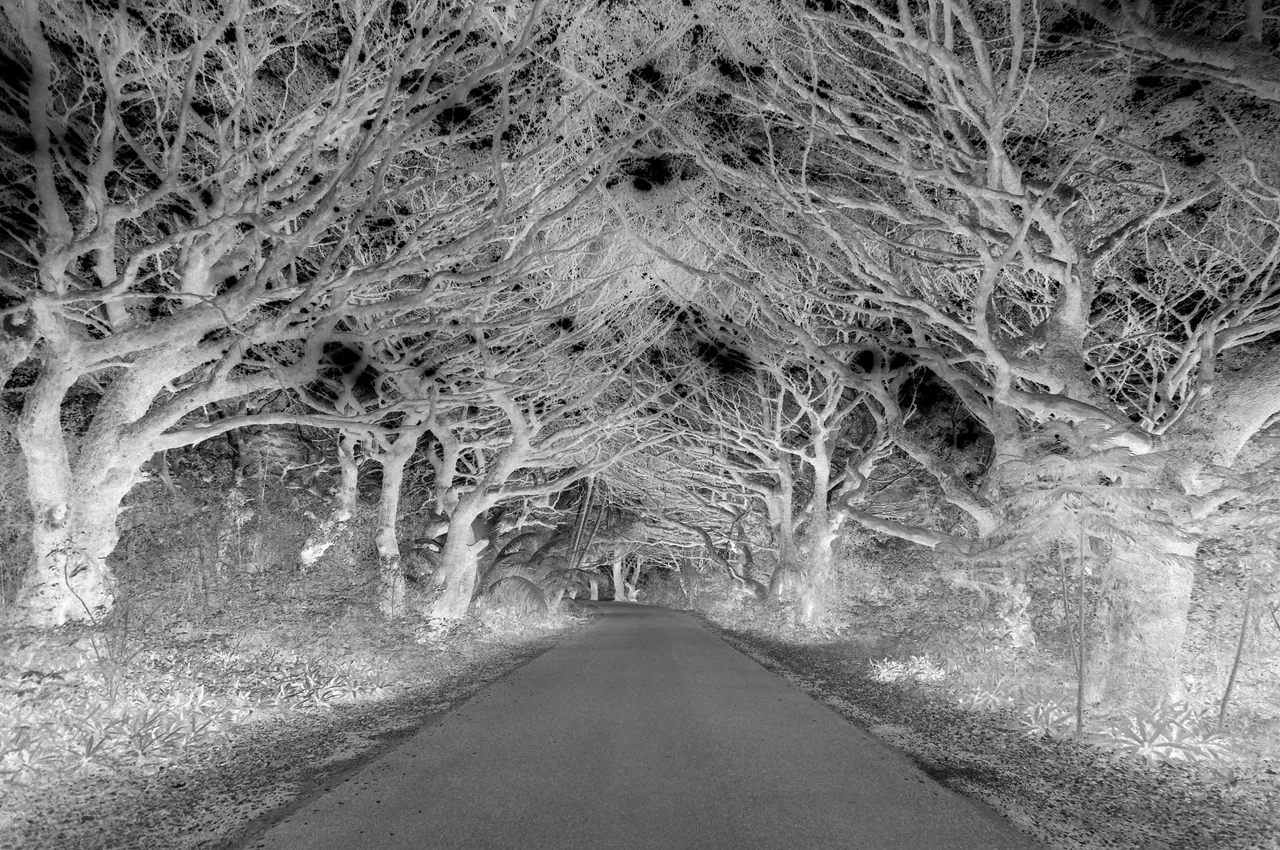 Paysages improbables — Nouvelle-Calédonie