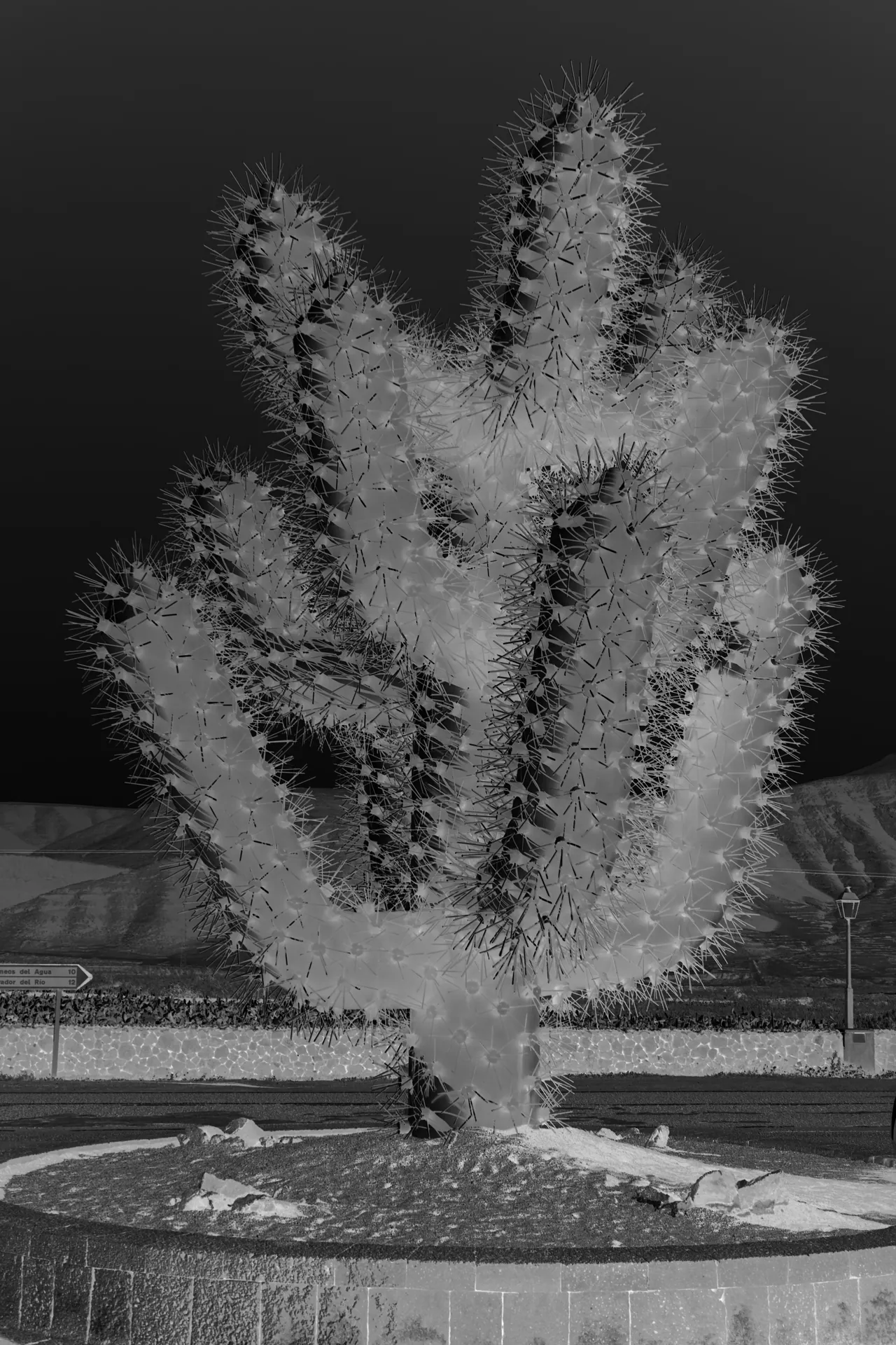 Paysages improbables — Cactus