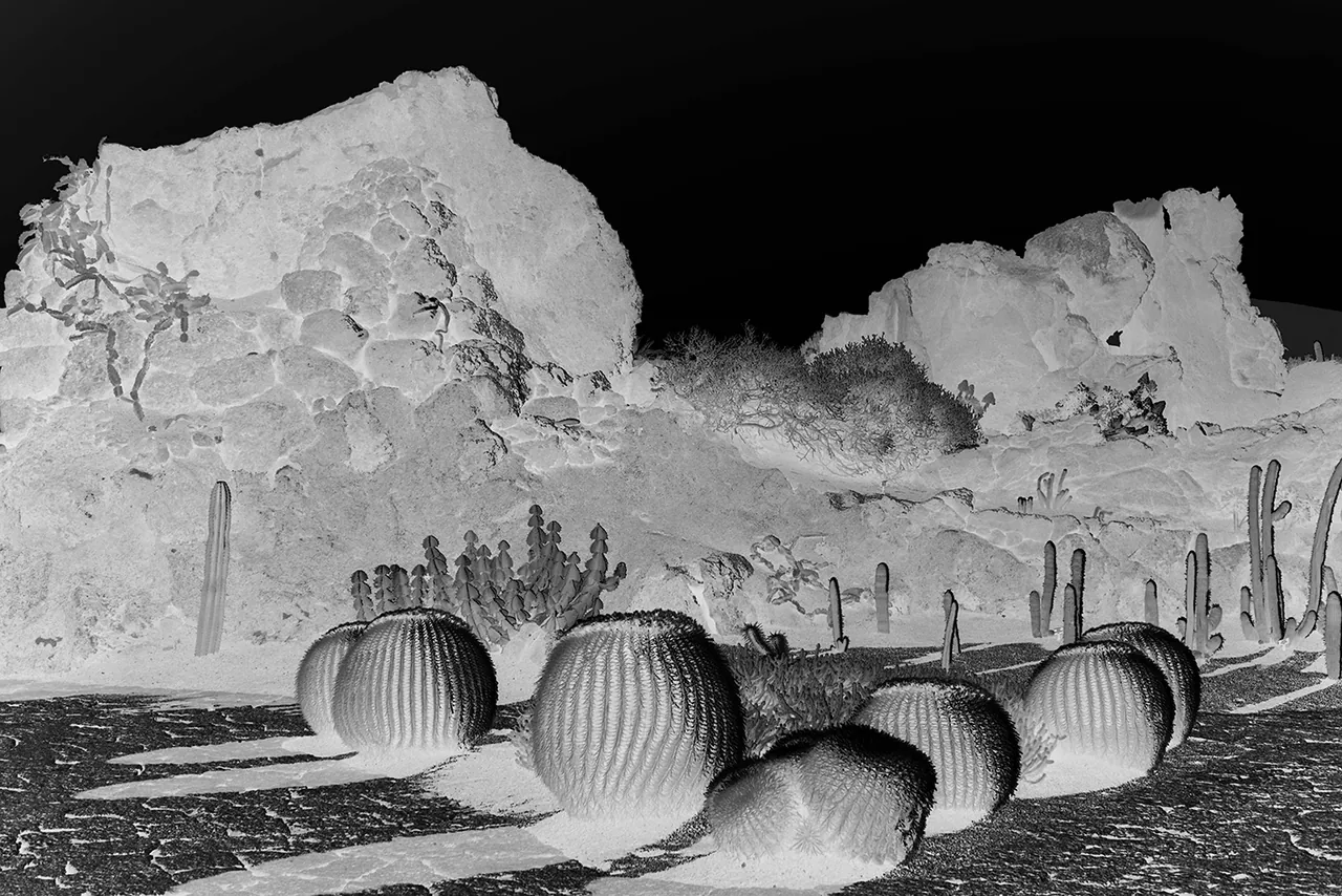 Paysages improbables — Lanzarote