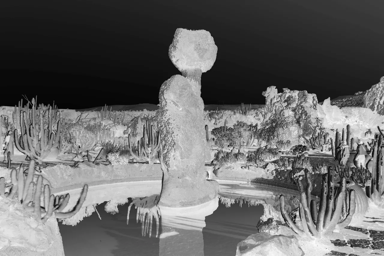 Paysages improbables — Cactus